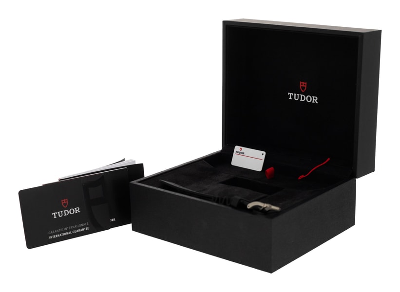 Tudor Pelagos M25407N-0001